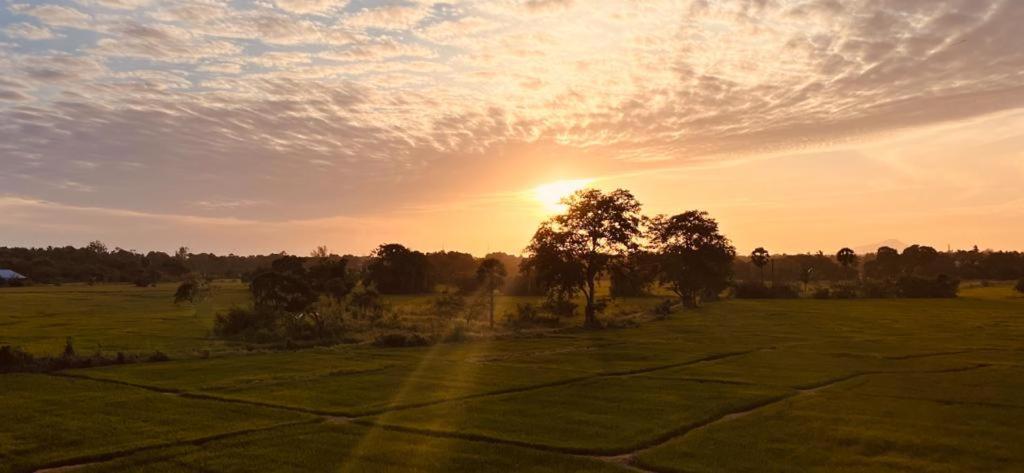 Ehala Family Rest Hotel Anuradhapura Ngoại thất bức ảnh